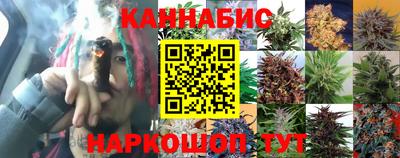 гидра Пугачёв
