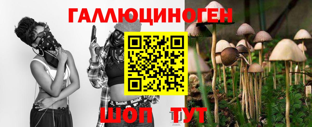 Псилоцибиновые грибы ЛСД Советск