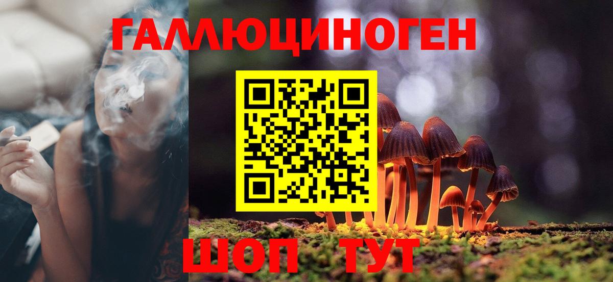 где найти   Галлюциногенные грибы Cubensis  Советск  Вход с VPN  Галлюциногенные грибы GOLDEN TEACHER 