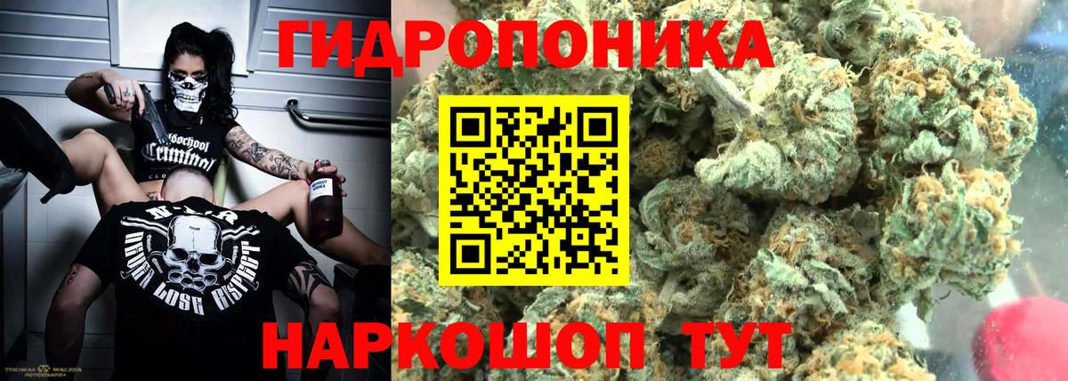 Каннабис планчик  Вход с VPN  Каннабис гибрид  Канабис планчик  Советск 